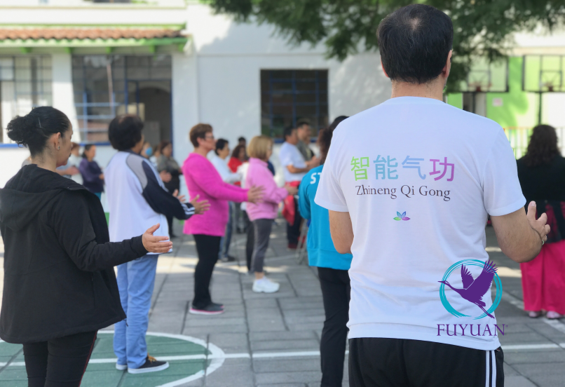 Práctica grupal de Qigong al aire libre